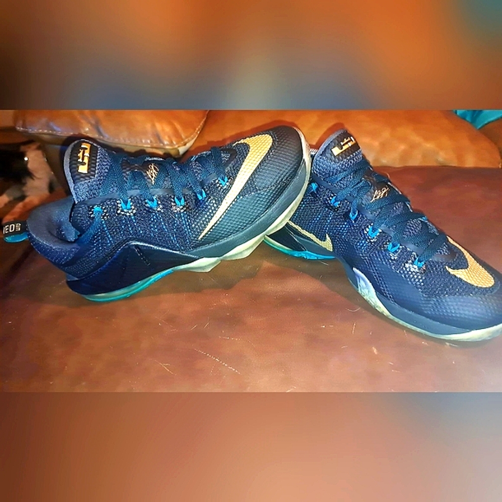 Lebron XIl 12 Low SVSM